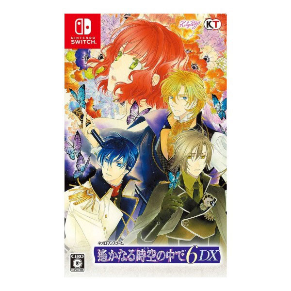 遙かなる時空の中で6 DX その先の未来へBOX (限定版)