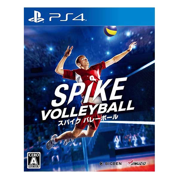 スパイク バレーボール